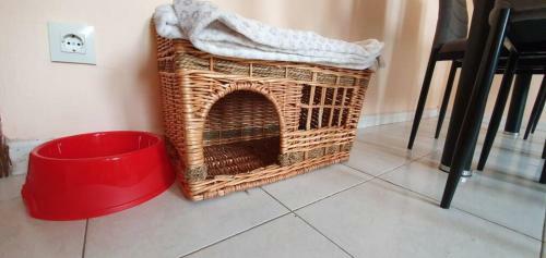 Apartamento Piso C�ntrico - Desayuno de Bienvenida