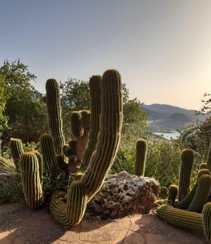 El Valle Dorado
