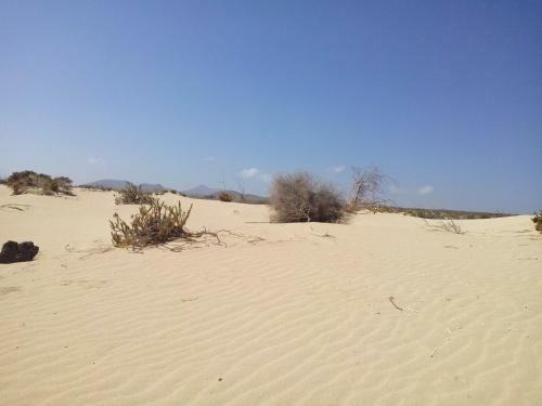 Appartamento In Oasis Tropicale