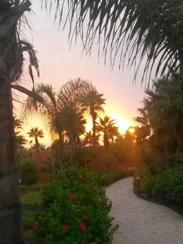 Appartamento In Oasis Tropicale