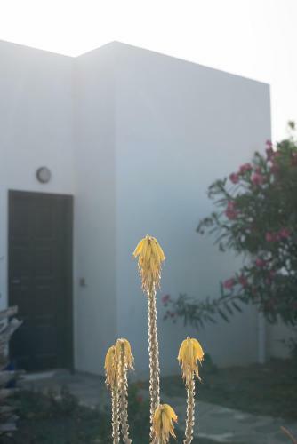 Apartamento Drago Homes