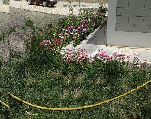 Hotel Hunza Regency Inn