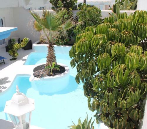 Villa Paradisus Bahiazul
