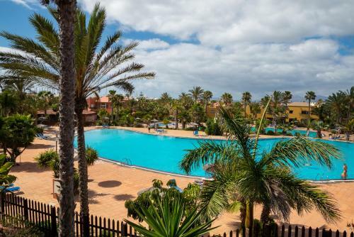 Apartamento El Jasmine