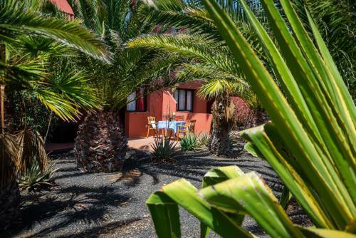 Apartamento El Jasmine