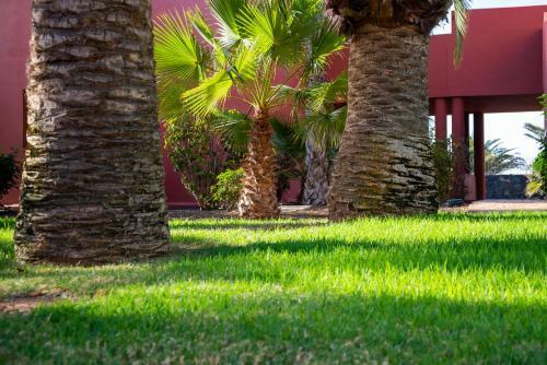 Apartamento El Jasmine