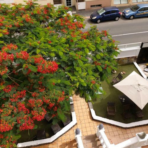 Albergue Corralejo Garden&relax