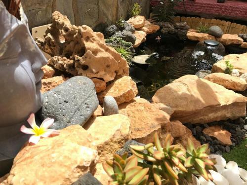Albergue Corralejo Garden&relax