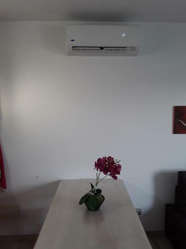Apartamento Guaye