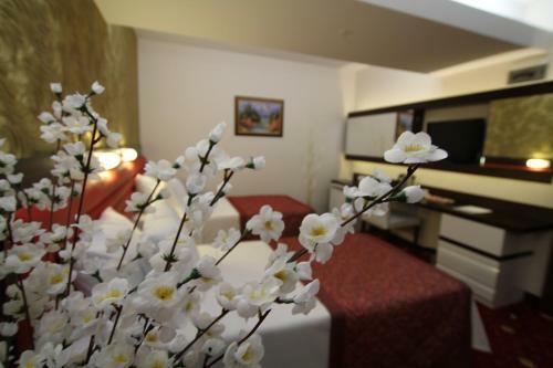 Sahin Park Hotel