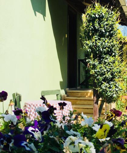 Hostal Piccolo Mondo Hotel