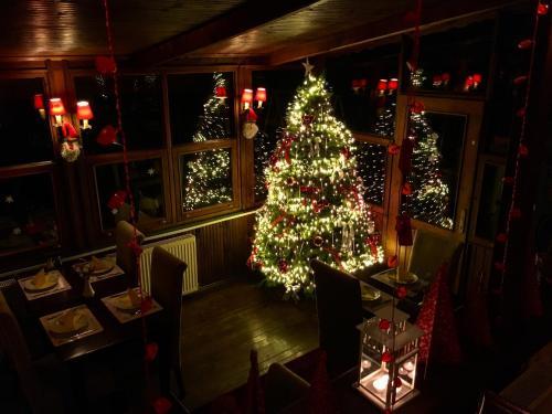 Hostal Piccolo Mondo Hotel