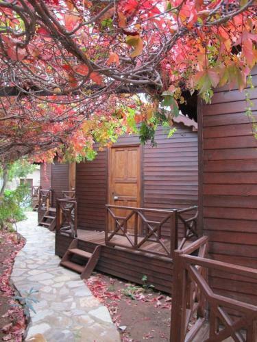 Changa Hotel
