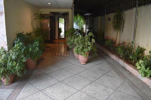Hostal Elysium 99 Guest House