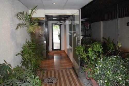 Hostal Elysium 99 Guest House