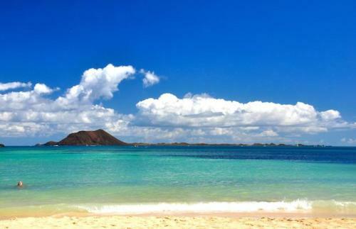 The Ohana Beach Apartment