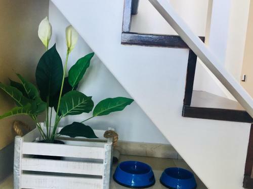 Apartamento Blue Dream Playa