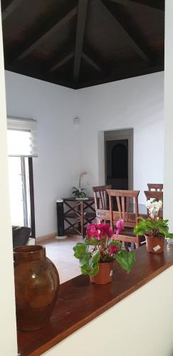 Villa Tamarindo 5