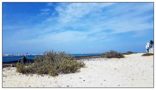 Apartamento Lur de La Playa
