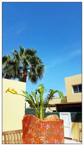 Apartamento Lur de La Playa