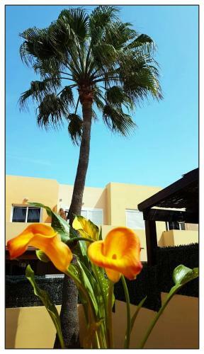 Apartamento Lur de La Playa
