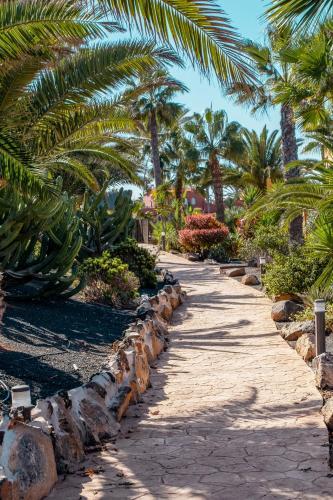 Oasis Fuerteventura Beach Apartments