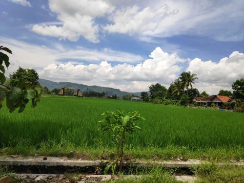 Hostal Akar Wangi 2 Homestay