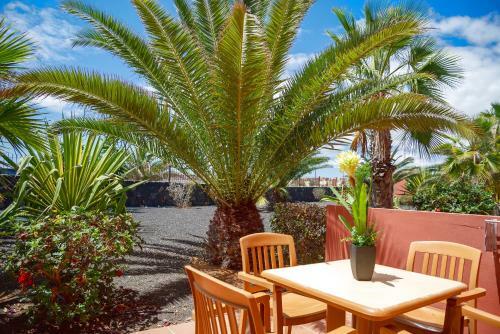 Apartamento Blu Gardenia