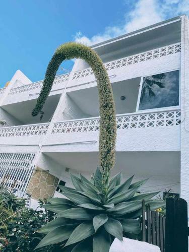 Apartamento Loft On The Beach Edificio Hoplaco Corralejo