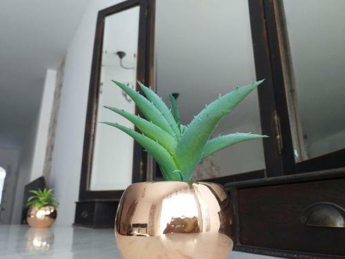 Apartamento Loft 113