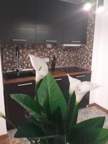 Apartamento Loft 113