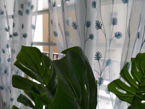 Apartamento Tropical Loft