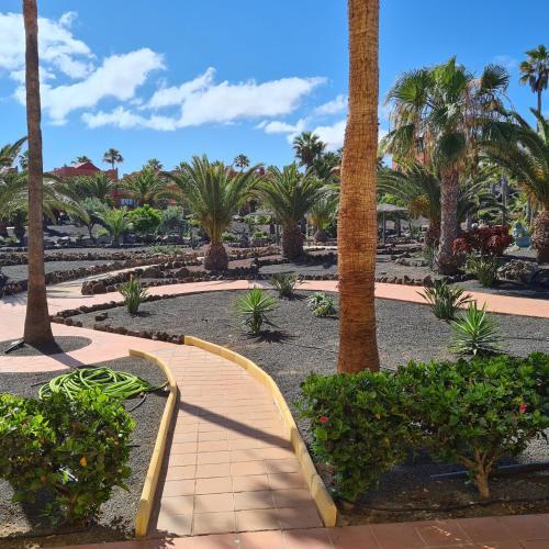 Apartamento Oasis Royal F217