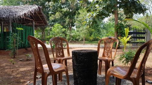 Hotel Evergreen Hostel