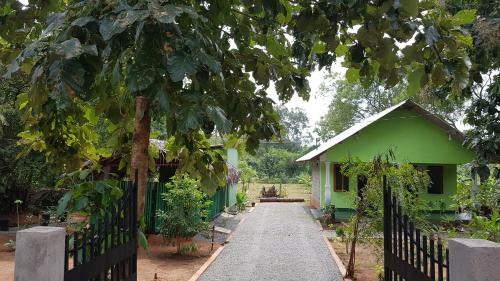 Hotel Evergreen Hostel
