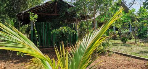 Hotel Evergreen Hostel