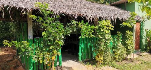 Hotel Evergreen Hostel