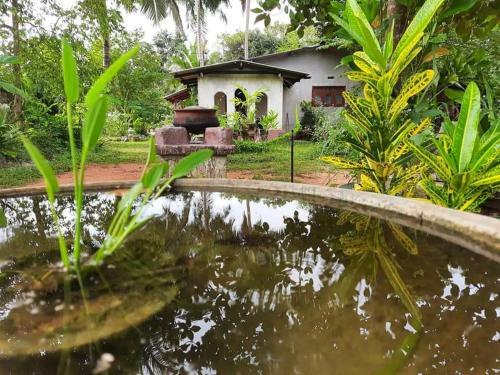 Nimbada Homes