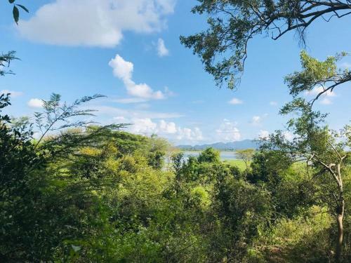 Elephant Lake