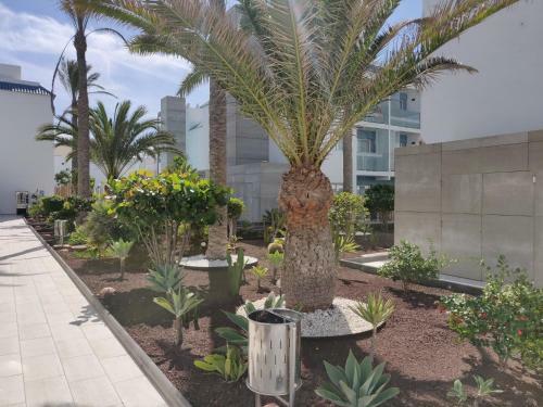 Apartamento Casa Bal�
