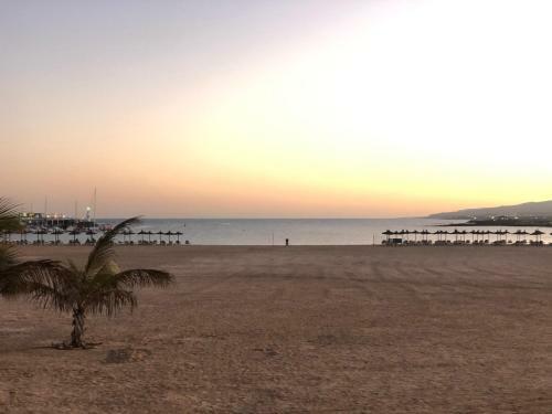 Apartamento Casa Bal�