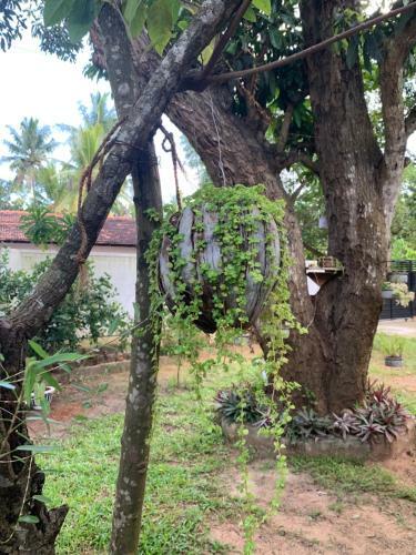 Sobha Holiday Home
