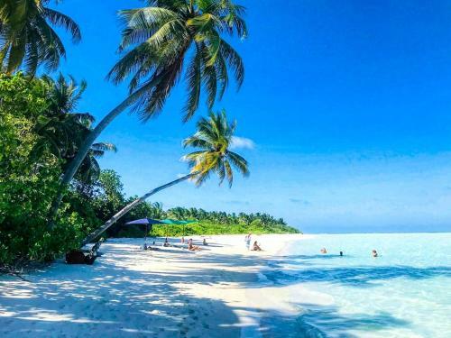 Hotel Hevana Holidays