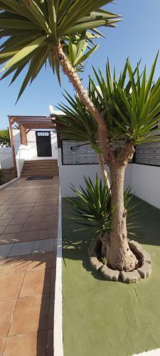 Mal� Vacacional