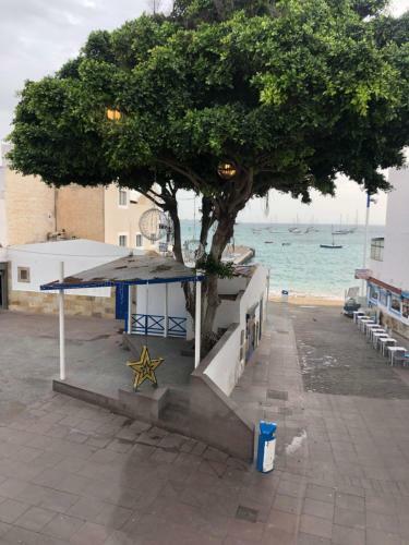Apartamento Casa Matilde