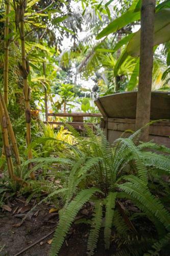 Adara Homestay