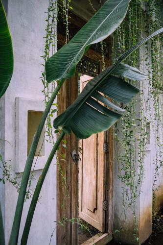 Adara Homestay