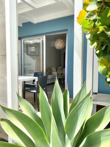 Casa Perla - Cozy Apartment Pool Side