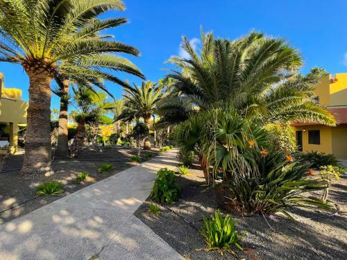 Apartamento Atlantic Garden 238