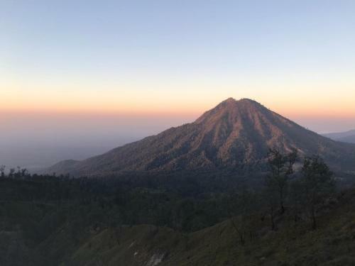 Albergue Ijen Backpacker